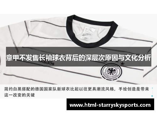 意甲不发售长袖球衣背后的深层次原因与文化分析